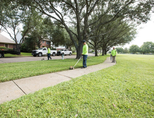 Evolution & Gemini Invest in Commercial Landscape Maintenance Company